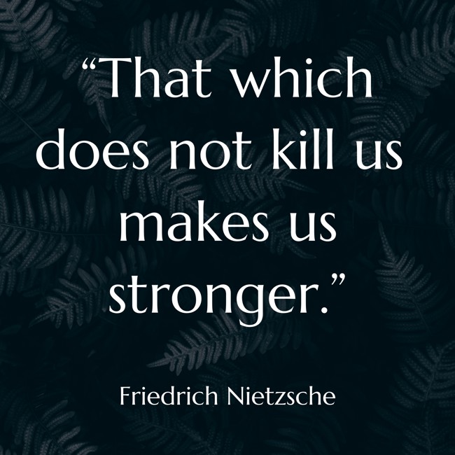  “That which does not kill us makes us stronger.”   - Friedrich Nietzsche 