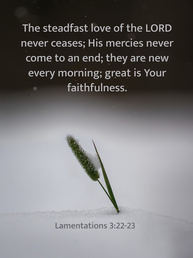 The steadfast love of the LORD never ceases; His mercies never come to an end; they are new every morning; great is Your faithfulness. - Lamentations 3:22-23