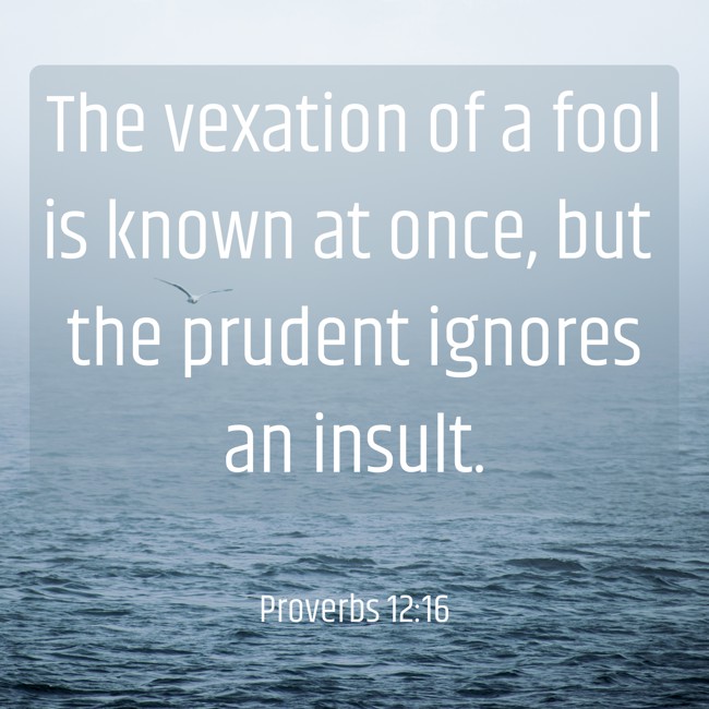 The vexation of a fool is known at once, but the prudent ignores an insult. - Proverbs 12:16
