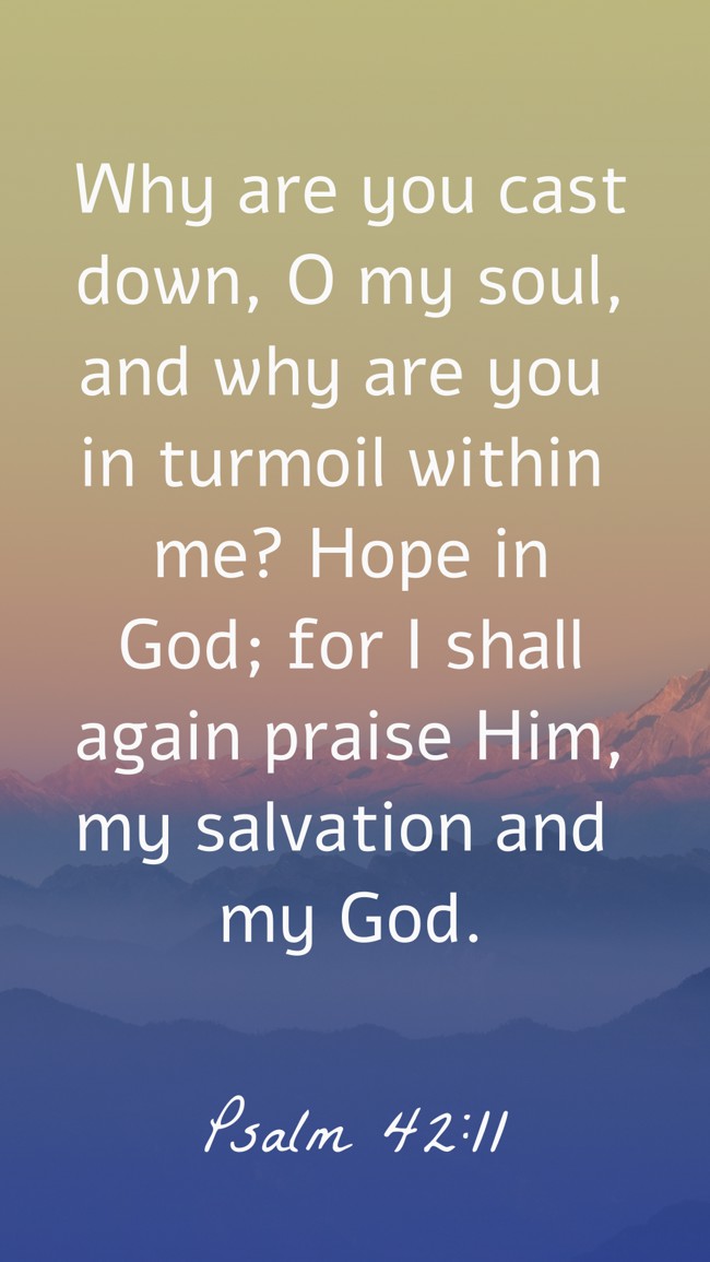 Why are you cast down, O my soul, and why are you in turmoil within me? Hope in God; for I shall again praise Him, my salvation and my God. - Psalm 42:11