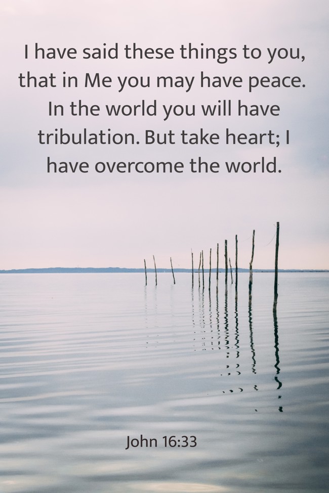 I have said these things to you, that in Me you may have peace. In the world you will have tribulation. But take heart; I have overcome the world. - John 16:33
