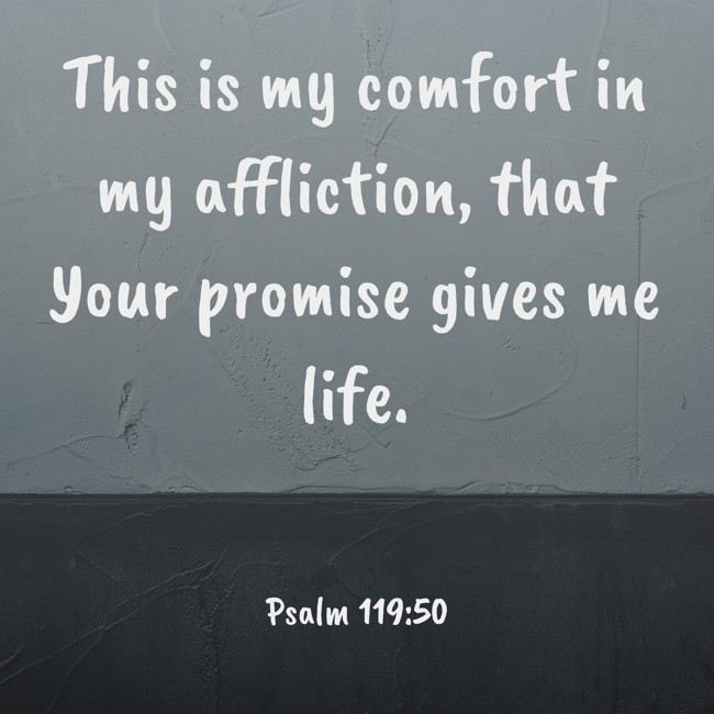 This is my comfort in my affliction, that Your promise gives me life. - Psalm 119:50