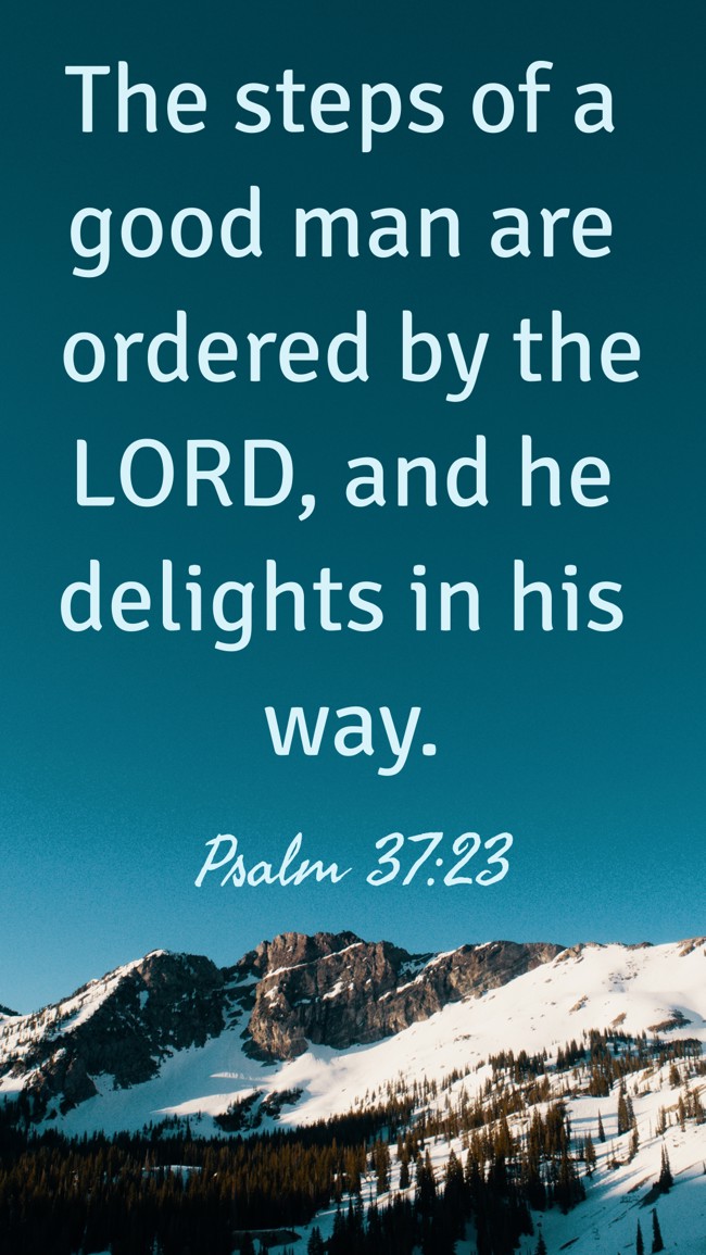 The steps of a good man are ordered by the LORD, and he delights in his way. - Psalm 37:23