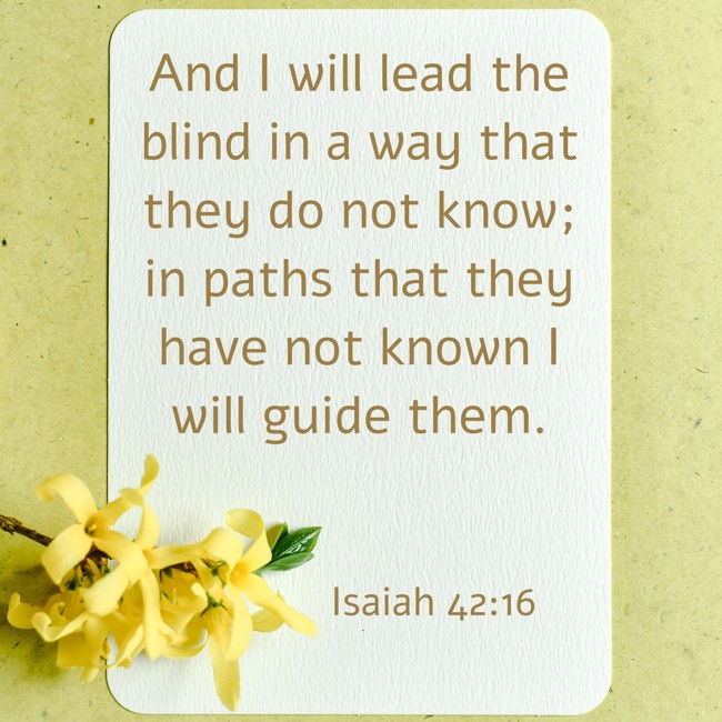 And I will lead the blind in a way that they do not know; in paths that they have not known I will guide them. - Isaiah 42:16
