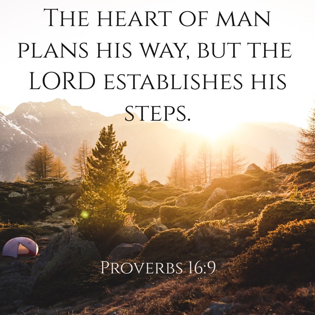 The heart of man plans his way, but the LORD establishes his steps. - Proverbs 16:9