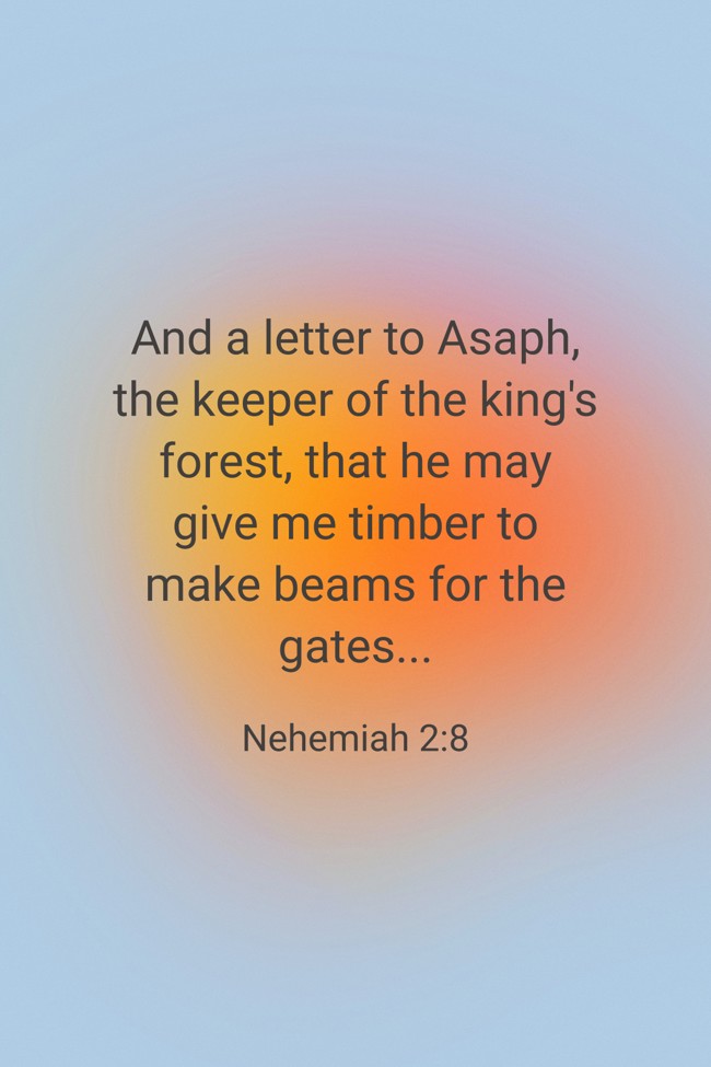 And a letter to Asaph, the keeper of the king's forest, that he may give me timber to make beams for the gates... - Nehemiah 2:8