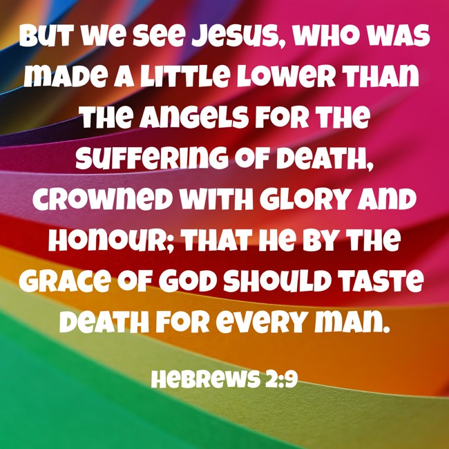 But we see Jesus, who was made a little lower than the angels for the suffering of death, crowned with glory and honour; that he by the grace of God should taste death for every man. - Hebrews 2:9