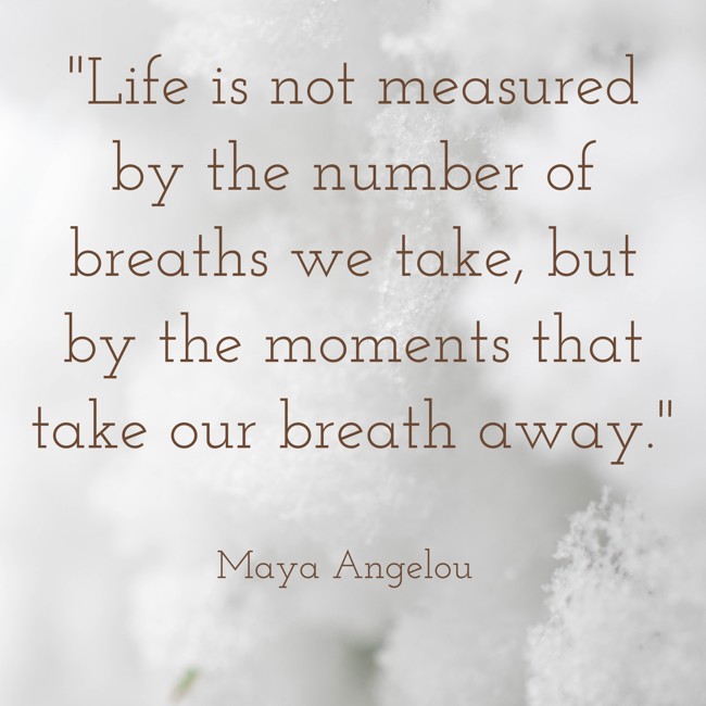 Life is not measured by the number of breaths we take, but by the moments that take our breath away. - Maya Angelou