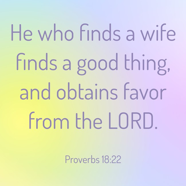  He who finds a wife finds a good thing, and obtains favor from the LORD.   - Proverbs 18:22 