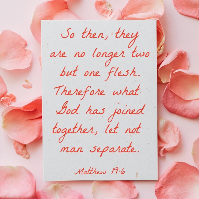  So then, they are no longer two but one flesh. Therefore what God has joined together, let not man separate.   - Matthew 19:6 
