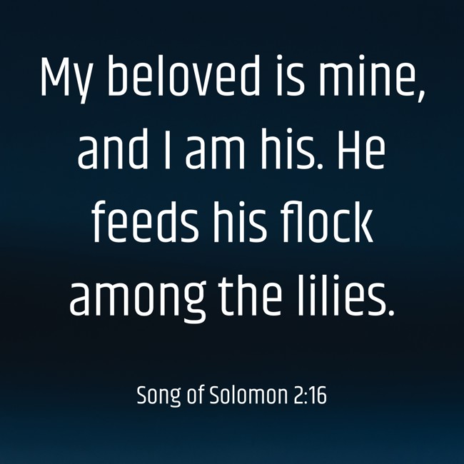 My beloved is mine, and I am his. He feeds his flock among the lilies.   - Song of Solomon 2:16 
