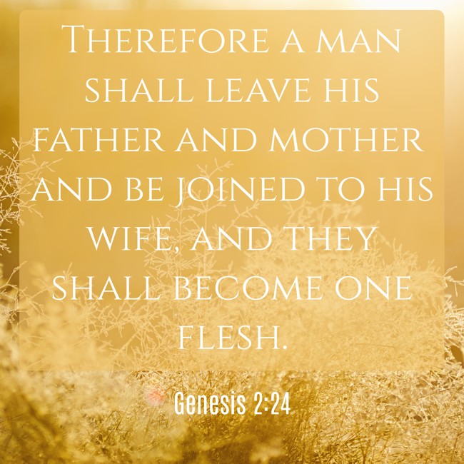  Therefore a man shall leave his father and mother and be joined to his wife, and they shall become one flesh.   - Genesis 2:24 
