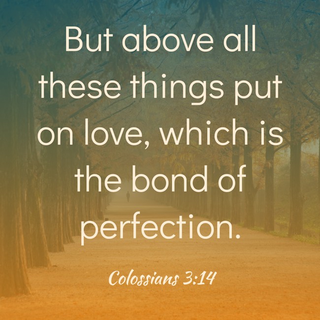  But above all these things put on love, which is the bond of perfection.   - Colossians 3:14 
