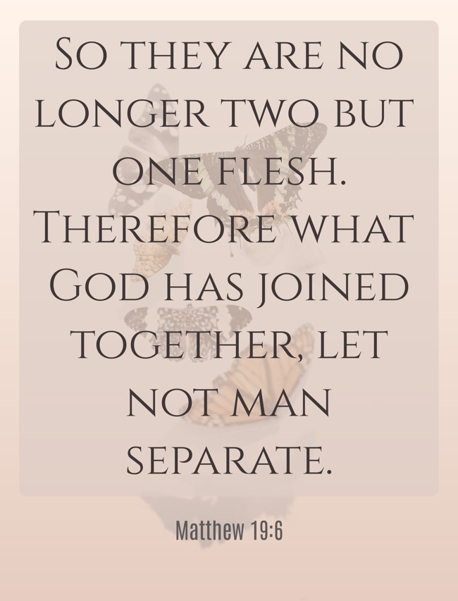  So they are no longer two but one flesh. Therefore what God has joined together, let not man separate.   - Matthew 19:6 