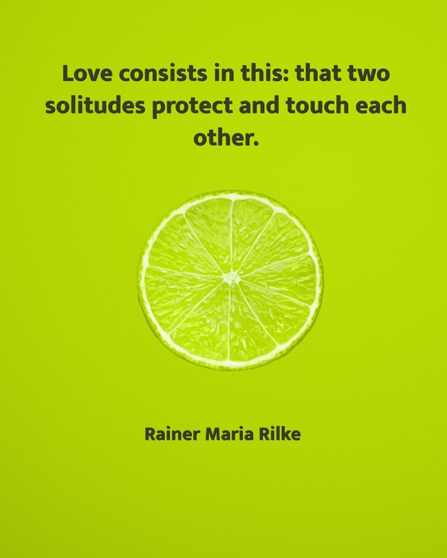  Love consists in this: that two solitudes protect and touch each other.   - Rainer Maria Rilke 