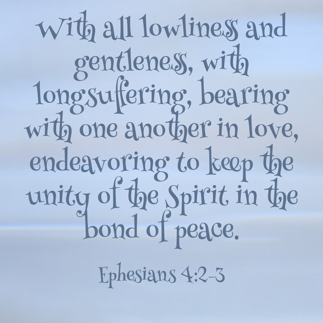  With all lowliness and gentleness, with longsuffering, bearing with one another in love, endeavoring to keep the unity of the Spirit in the bond of peace.   - Ephesians 4:2-3 
