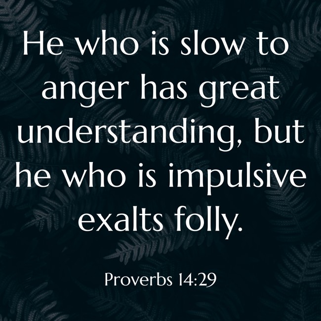 He who is slow to anger has great understanding, but he who is impulsive exalts folly. - Proverbs 14:29