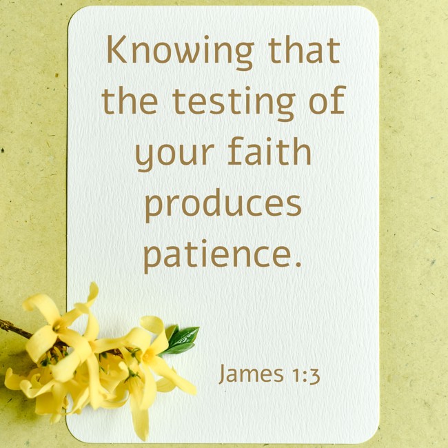 Knowing that the testing of your faith produces patience. - James 1:3