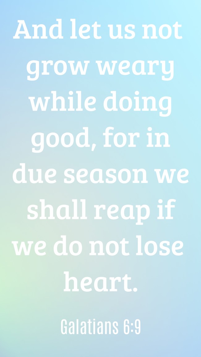 And let us not grow weary while doing good, for in due season we shall reap if we do not lose heart. - Galatians 6:9
