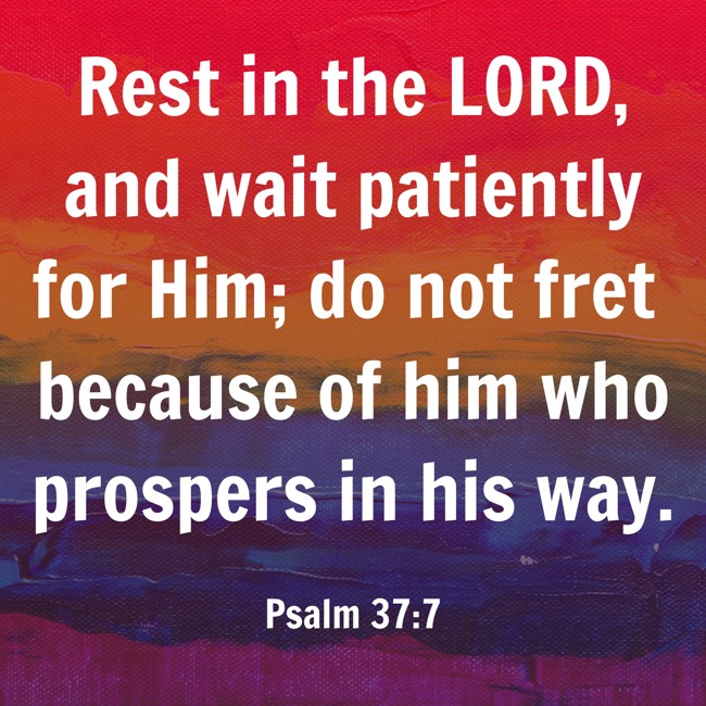 Rest in the LORD, and wait patiently for Him; do not fret because of him who prospers in his way. - Psalm 37:7
