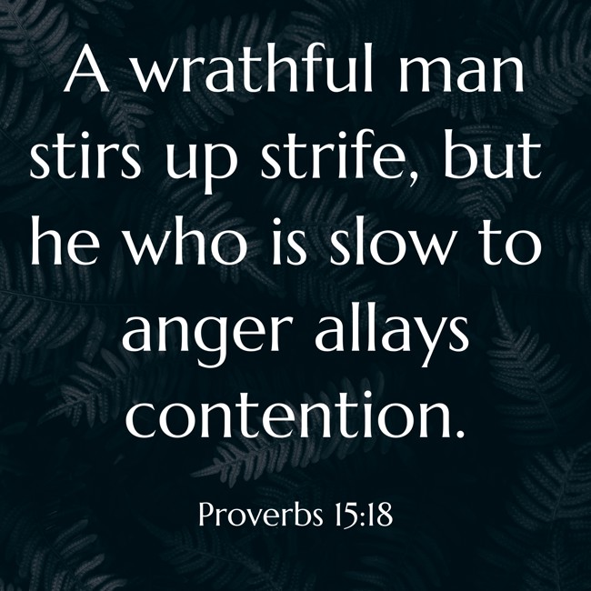 A wrathful man stirs up strife, but he who is slow to anger allays contention. - Proverbs 15:18