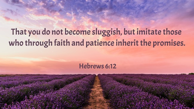 That you do not become sluggish, but imitate those who through faith and patience inherit the promises. - Hebrews 6:12