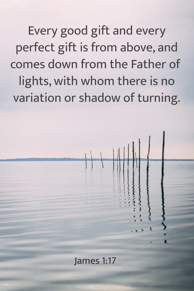  Every good gift and every perfect gift is from above, and comes down from the Father of lights, with whom there is no variation or shadow of turning.   - James 1:17 