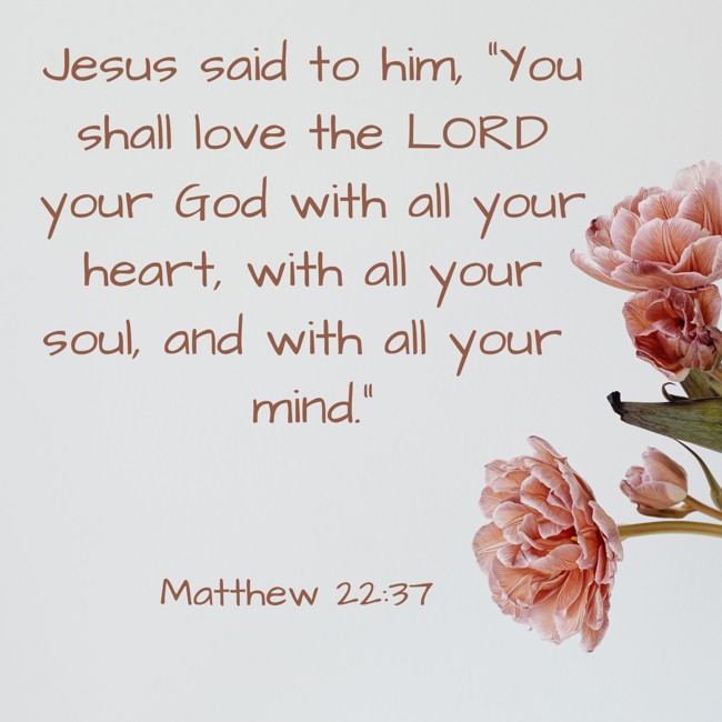  Jesus said to him, “You shall love the LORD your God with all your heart, with all your soul, and with all your mind.”   - Matthew 22:37 