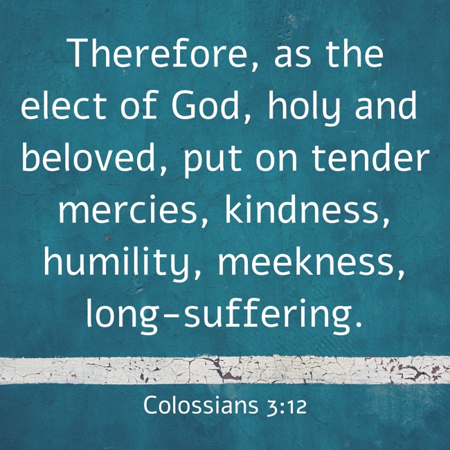 Therefore, as the elect of God, holy and beloved, put on tender mercies, kindness, humility, meekness, long-suffering. - Colossians 3:12