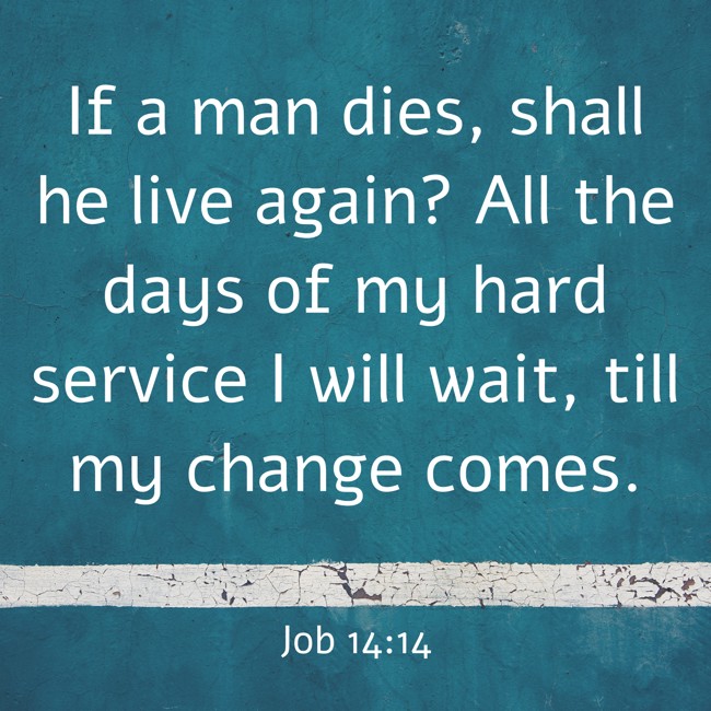 If a man dies, shall he live again? All the days of my hard service I will wait, till my change comes. - Job 14:14