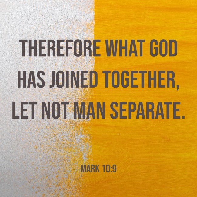 Therefore what God has joined together, let not man separate. - Mark 10:9 