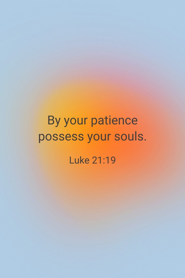 By your patience possess your souls. - Luke 21:19