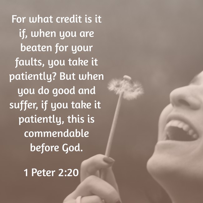 For what credit is it if, when you are beaten for your faults, you take it patiently? But when you do good and suffer, if you take it patiently, this is commendable before God. - 1 Peter 2:20