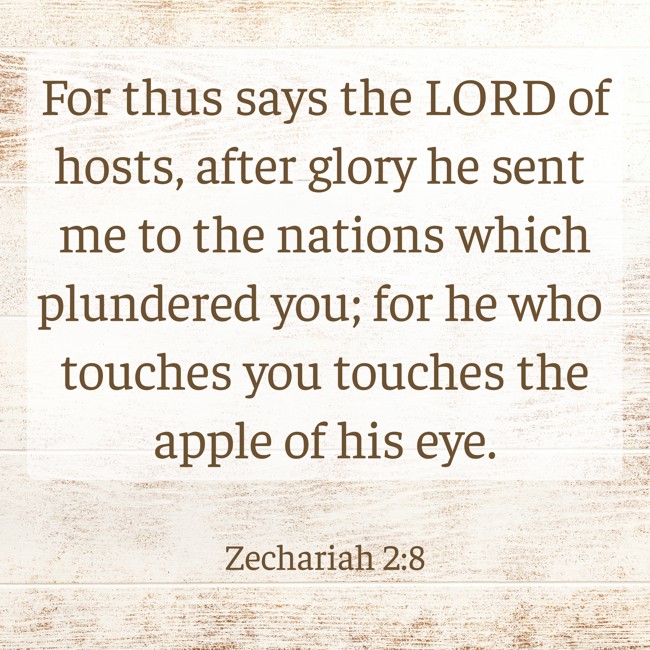 For thus says the LORD of hosts, after glory he sent me to the nations which plundered you; for he who touches you touches the apple of his eye. - Zechariah 2:8
