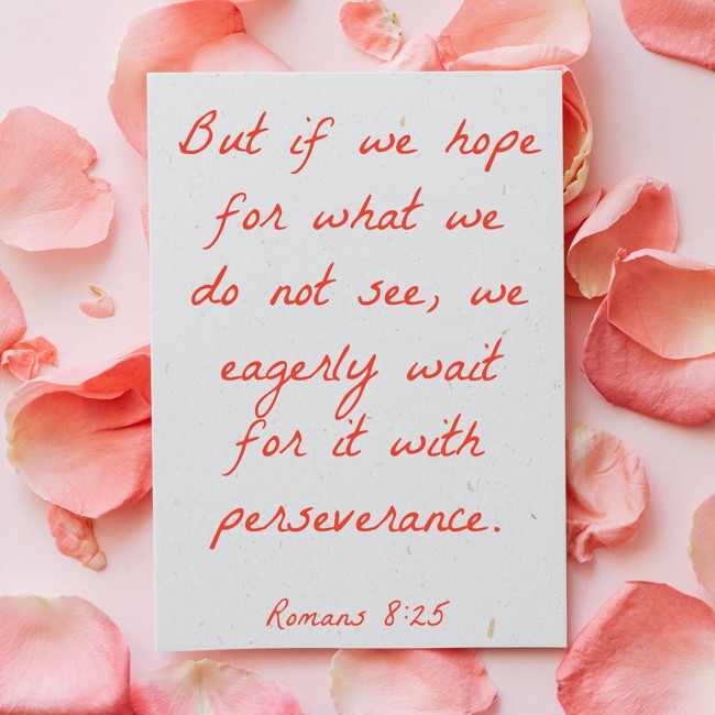 But if we hope for what we do not see, we eagerly wait for it with perseverance. - Romans 8:25