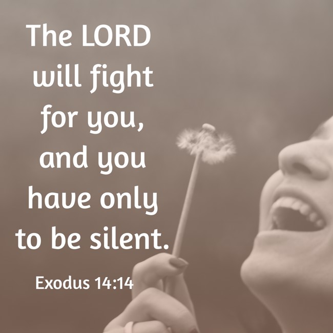 The LORD will fight for you, and you have only to be silent. - Exodus 14:14