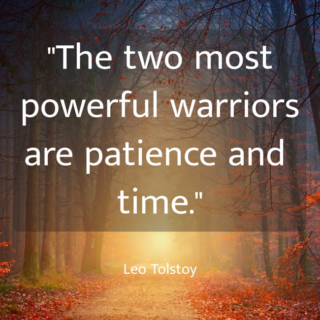 The two most powerful warriors are patience and time. - Leo Tolstoy