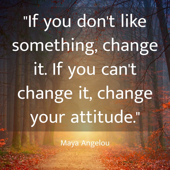 If you don't like something, change it. If you can't change it, change your attitude. - Maya Angelou
