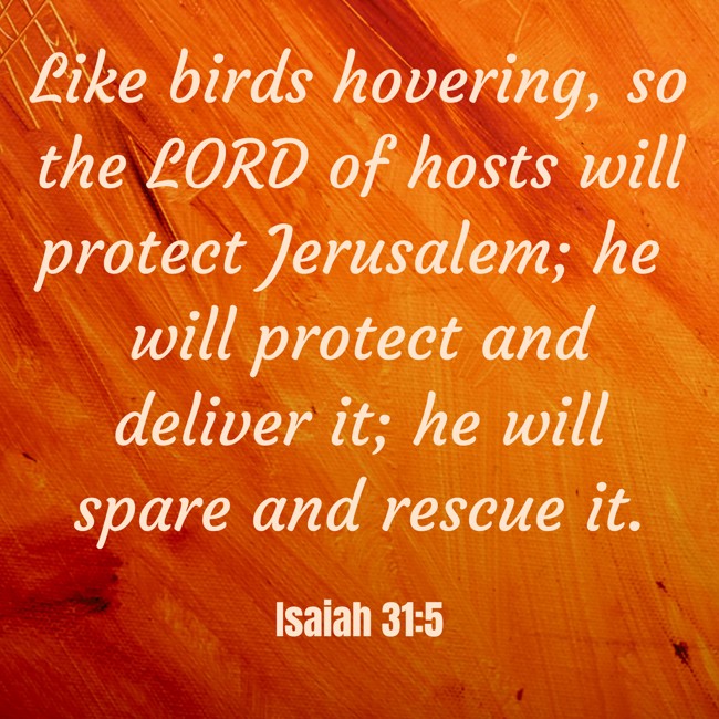 Like birds hovering, so the LORD of hosts will protect Jerusalem; he will protect and deliver it; he will spare and rescue it. - Isaiah 31:5
