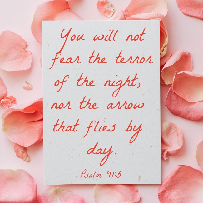 You will not fear the terror of the night, nor the arrow that flies by day. - Psalm 91:5