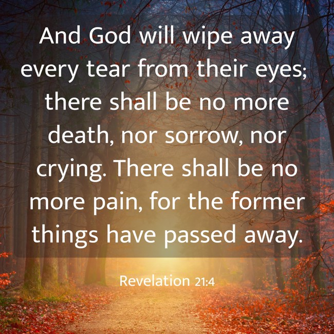 And God will wipe away every tear from their eyes; there shall be no more death, nor sorrow, nor crying. There shall be no more pain, for the former things have passed away. - Revelation 21:4