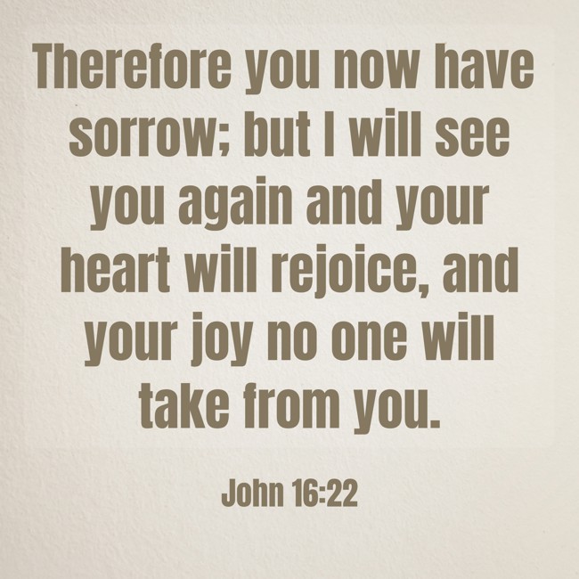 Therefore you now have sorrow; but I will see you again and your heart will rejoice, and your joy no one will take from you. - John 16:22