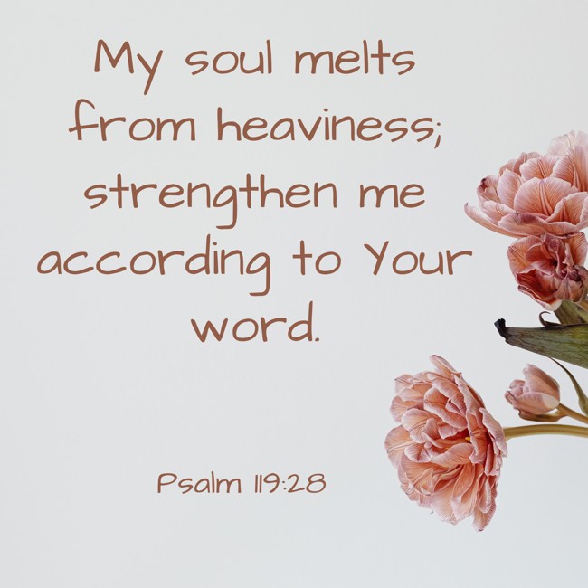 My soul melts from heaviness; strengthen me according to Your word. - Psalm 119:28