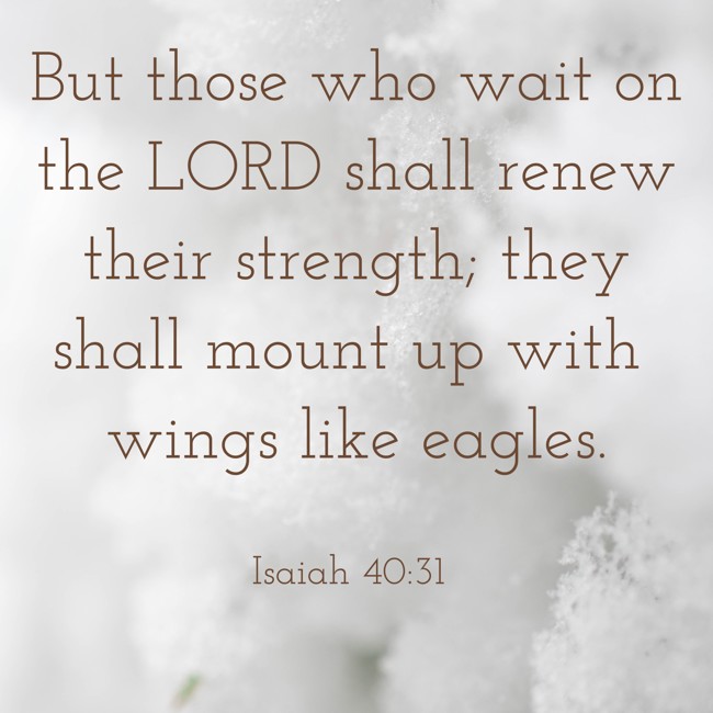 But those who wait on the LORD shall renew their strength; they shall mount up with wings like eagles. - Isaiah 40:31
