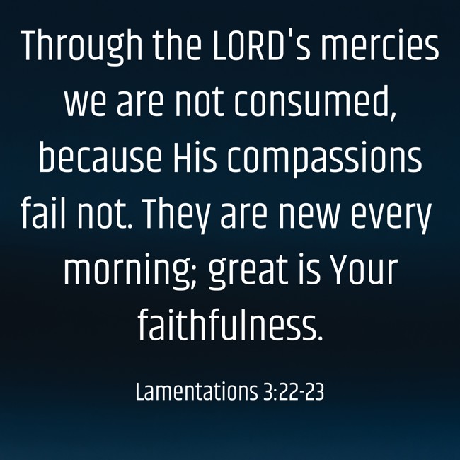 Through the LORD's mercies we are not consumed, because His compassions fail not. They are new every morning; great is Your faithfulness. - Lamentations 3:22-23