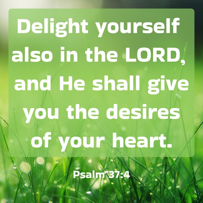 Delight yourself also in the LORD, and He shall give you the desires of your heart. - Psalm 37:4