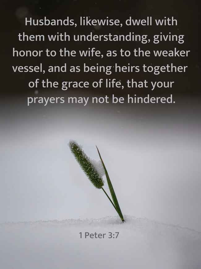 Husbands, likewise, dwell with them with understanding, giving honor to the wife, as to the weaker vessel, and as being heirs together of the grace of life, that your prayers may not be hindered. - 1 Peter 3:7