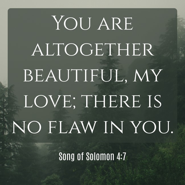 You are altogether beautiful, my love; there is no flaw in you. - Song of Solomon 4:7