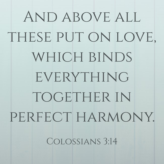 And above all these put on love, which binds everything together in perfect harmony. - Colossians 3:14