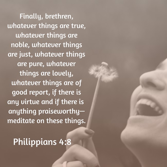Finally, brethren, whatever things are true, whatever things are noble, whatever things are just, whatever things are pure, whatever things are lovely, whatever things are of good report, if there is any virtue and if there is anything praiseworthy—meditate on these things. - Philippians 4:8